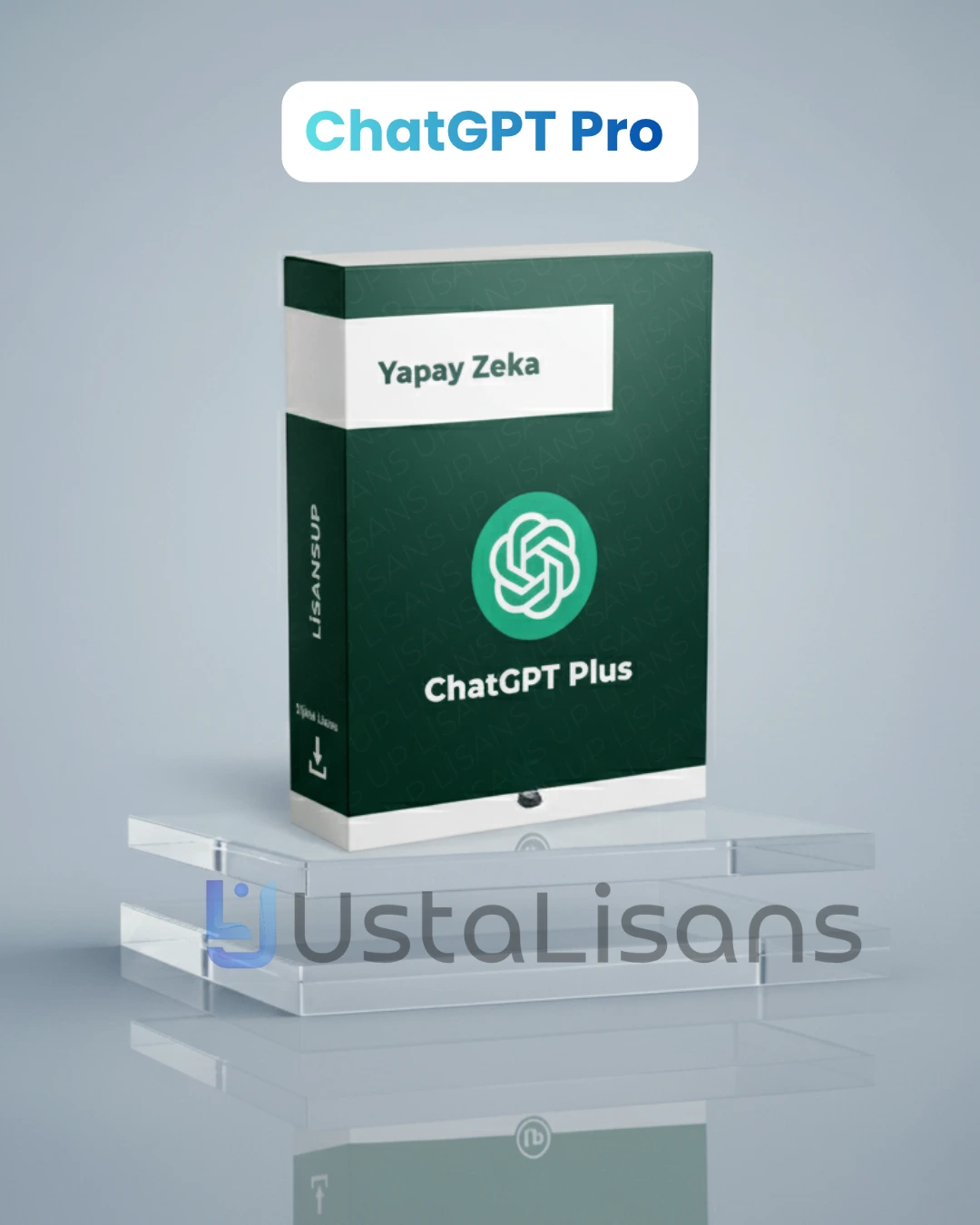 Capcut Pro - 1 Aylık