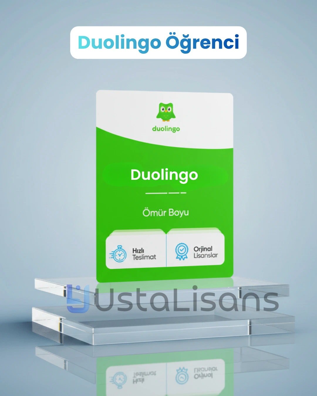 Duolingo Öğrenci Plus
