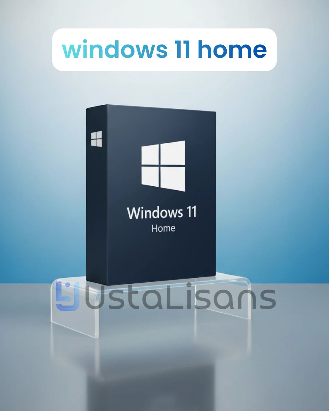 Windows 10/11 Home Oem